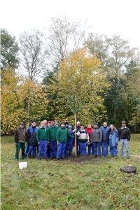 Baumpflanzaktion_AWG_Nov2016 Ein neuer Baum, die 'Köstliche von Charnen', ziert nunmehr den Obstgarten der Albertus-Magnus Werkstätten in Gundelfingen.