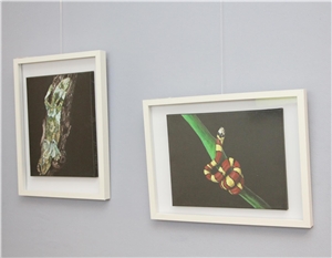 Ausstellung Autismus ist bunt Ausstellung Autismus ist bunt