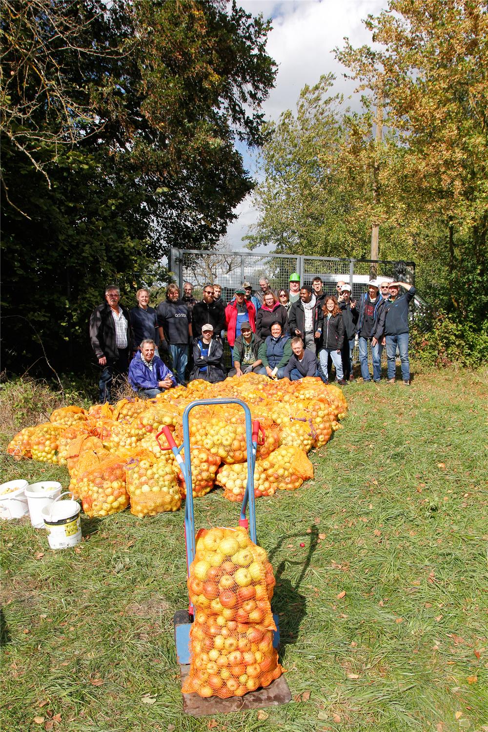 Stolz auf die Apfelernte.