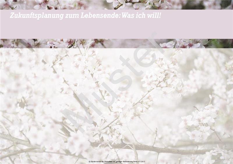 Mein Wille_Patientenverfügung