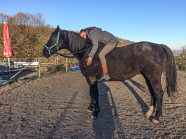 Tiergestützte Therapie mit dem Pferd